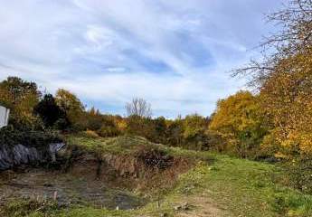 453259-Vorschaubild2