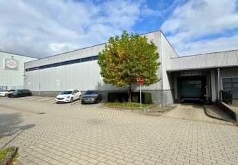 456064-Vorschaubild4