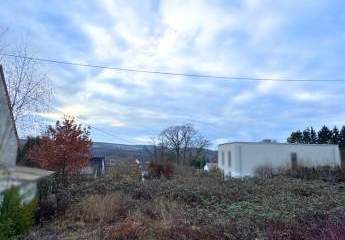 465631-Vorschaubild3