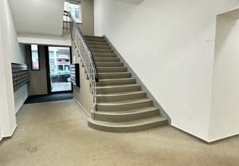 466166-Vorschaubild3