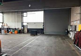 469913-Vorschaubild4