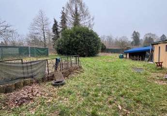 472481-Vorschaubild4