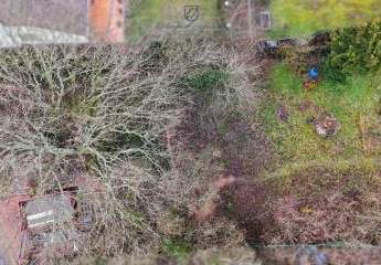 472804-Vorschaubild2