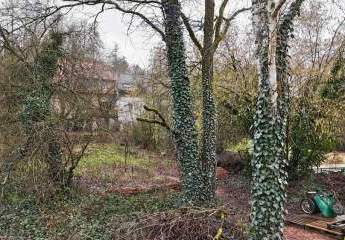 472804-Vorschaubild3