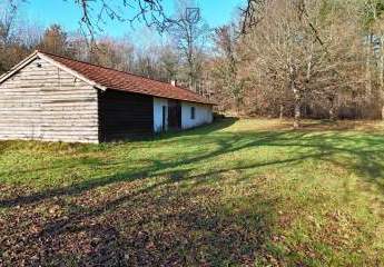 472940-Vorschaubild2