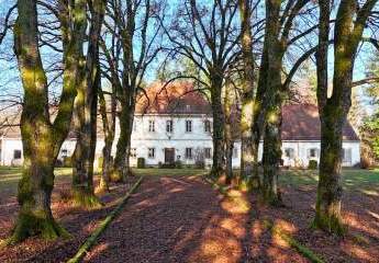 472940-Vorschaubild3