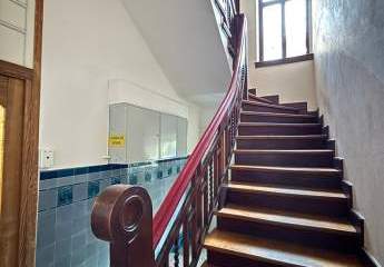 475254-Vorschaubild3