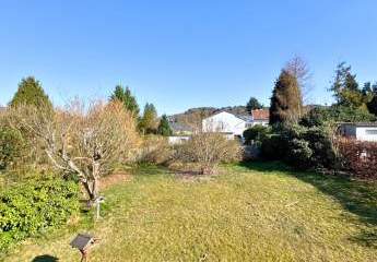 478154-Vorschaubild3