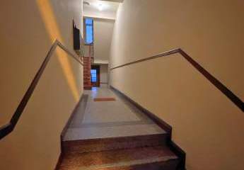 479541-Vorschaubild2