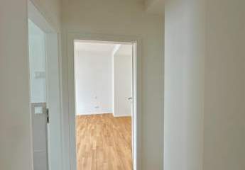 481731-Vorschaubild4