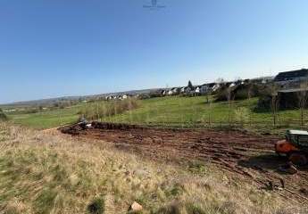 484214-Vorschaubild3