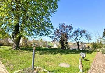 486402-Vorschaubild3