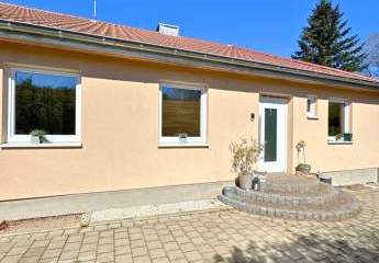 486402-Vorschaubild4