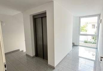 489429-Vorschaubild4