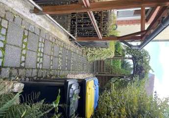 442823-Vorschaubild4