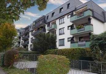 451538-Vorschaubild3