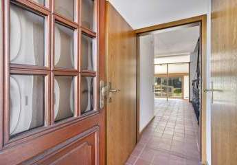 456640-Vorschaubild3