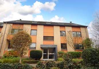 462336-Vorschaubild3