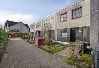 480995-Vorschaubild2