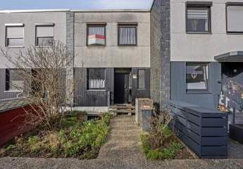 480995-Vorschaubild3