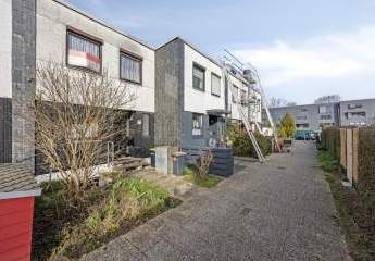 480995-Vorschaubild4