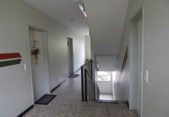 484161-Vorschaubild4