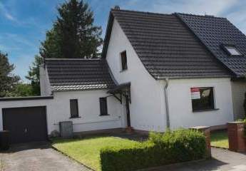 491919-Vorschaubild2