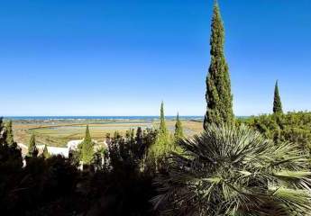 483605-Vorschaubild2