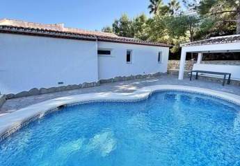 483605-Vorschaubild4