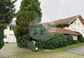 450399-Vorschaubild2