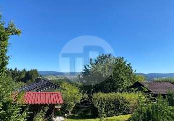 450184-Vorschaubild4