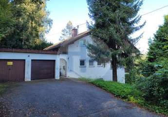 451508-Vorschaubild2