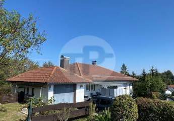 456496-Vorschaubild2