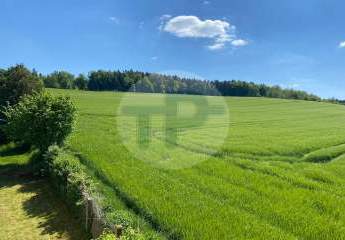 456509-Vorschaubild4