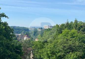 463966-Vorschaubild2