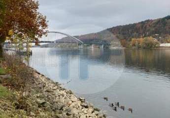 465990-Vorschaubild2