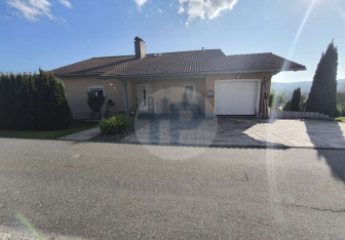 467312-Vorschaubild3