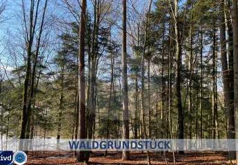 SCHÖNES WALDGRUNDSTÜCK
CA. 1045 M² GRUNDSTÜCKSFLÄCHE