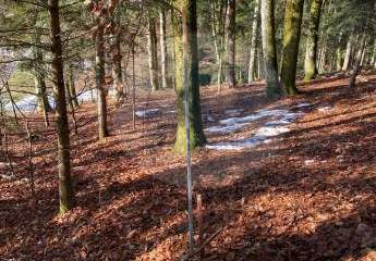 451424-Vorschaubild3