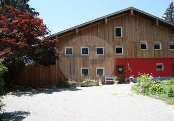 477769-Vorschaubild3