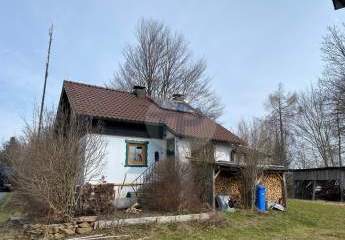 481580-Vorschaubild3