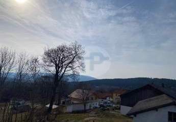 481580-Vorschaubild4