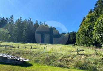 450184-Vorschaubild3