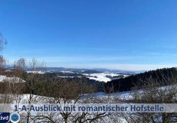IDYLLISCH UND ROMANTISCHE 3-SEIT HOFSTELLE 
MIT FERIENWOHNUNG, TIERHALTUNG GEEIGNET & PVA