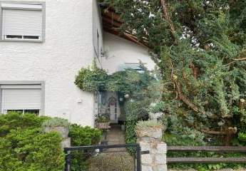 484583-Vorschaubild4