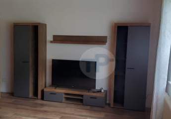 488710-Vorschaubild3