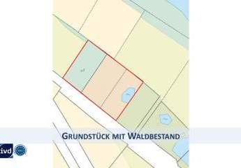 HERRLICHES FREIZEIT GRUNDSTÜCK MIT WALDBESTAND