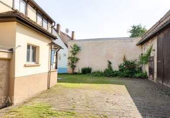 495193-Vorschaubild3