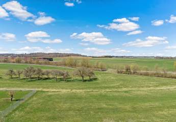 457855-Vorschaubild2