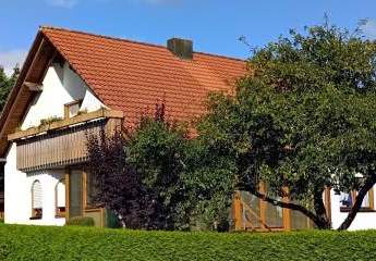 443734-Vorschaubild2
